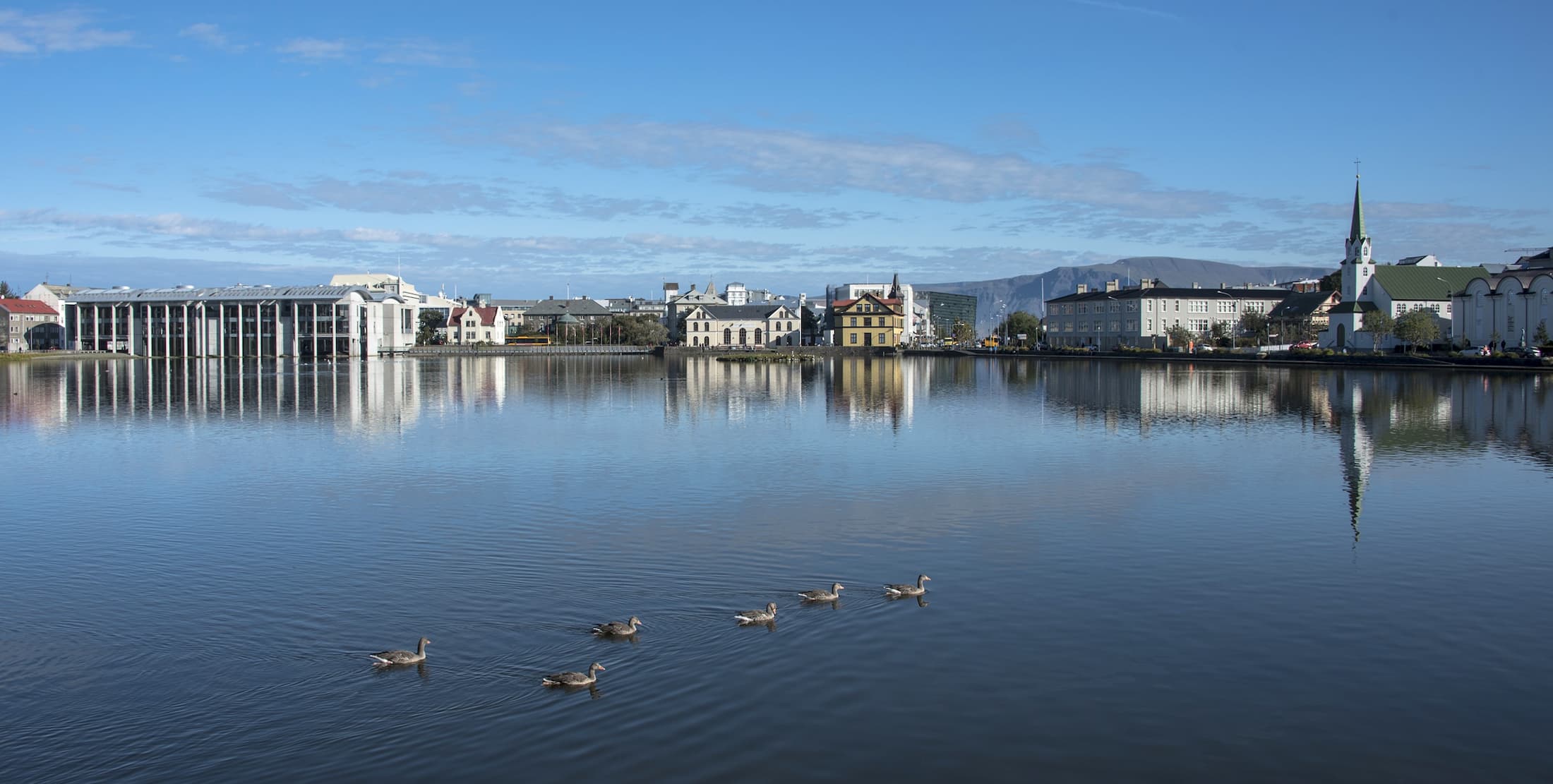 Tjörnin Pond Tjörnin Pond