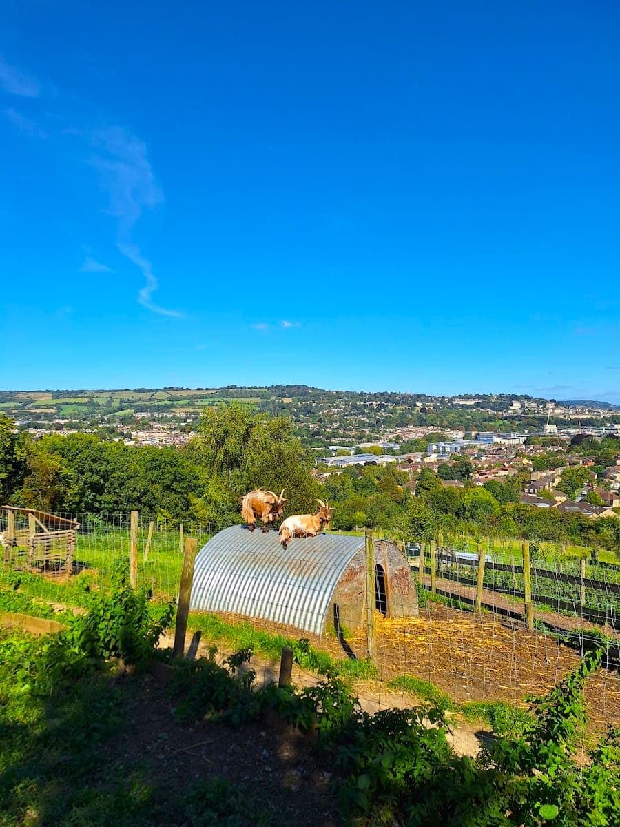 View from Bath City Farm View from Bath City Farm
