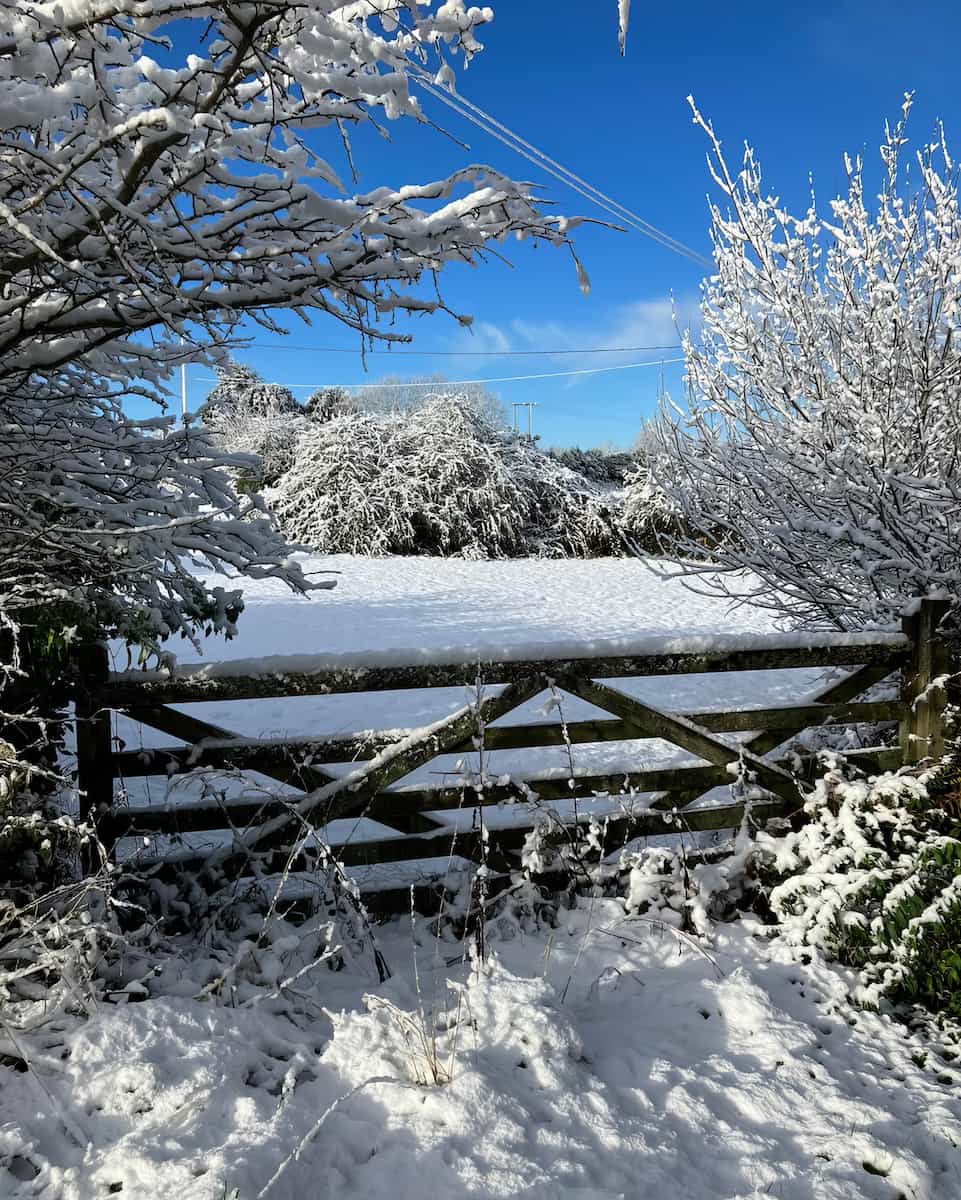Winter in Cornwall Winter in Cornwall