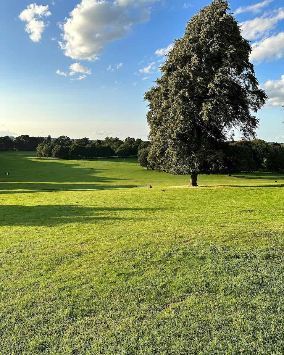 Wollaton Hall and Deer Park Wollaton Hall and Deer Park