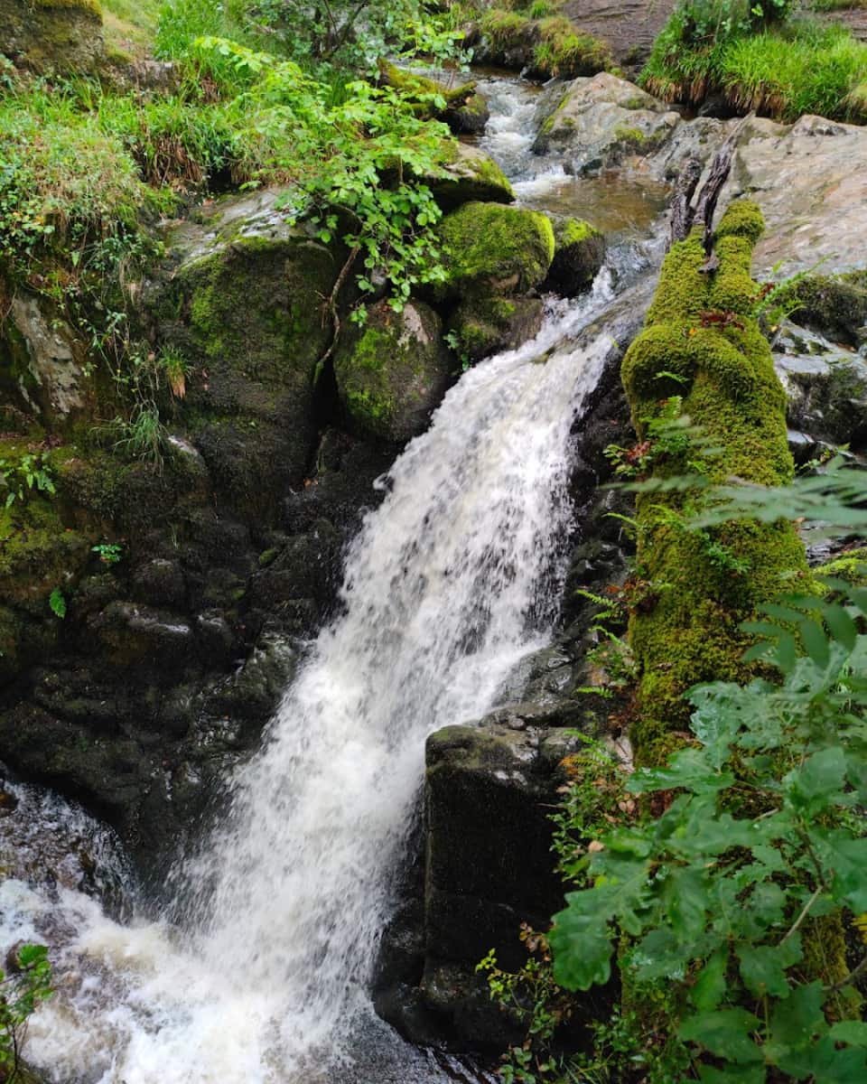 Aira Force, Lake District Aira Force, Lake District