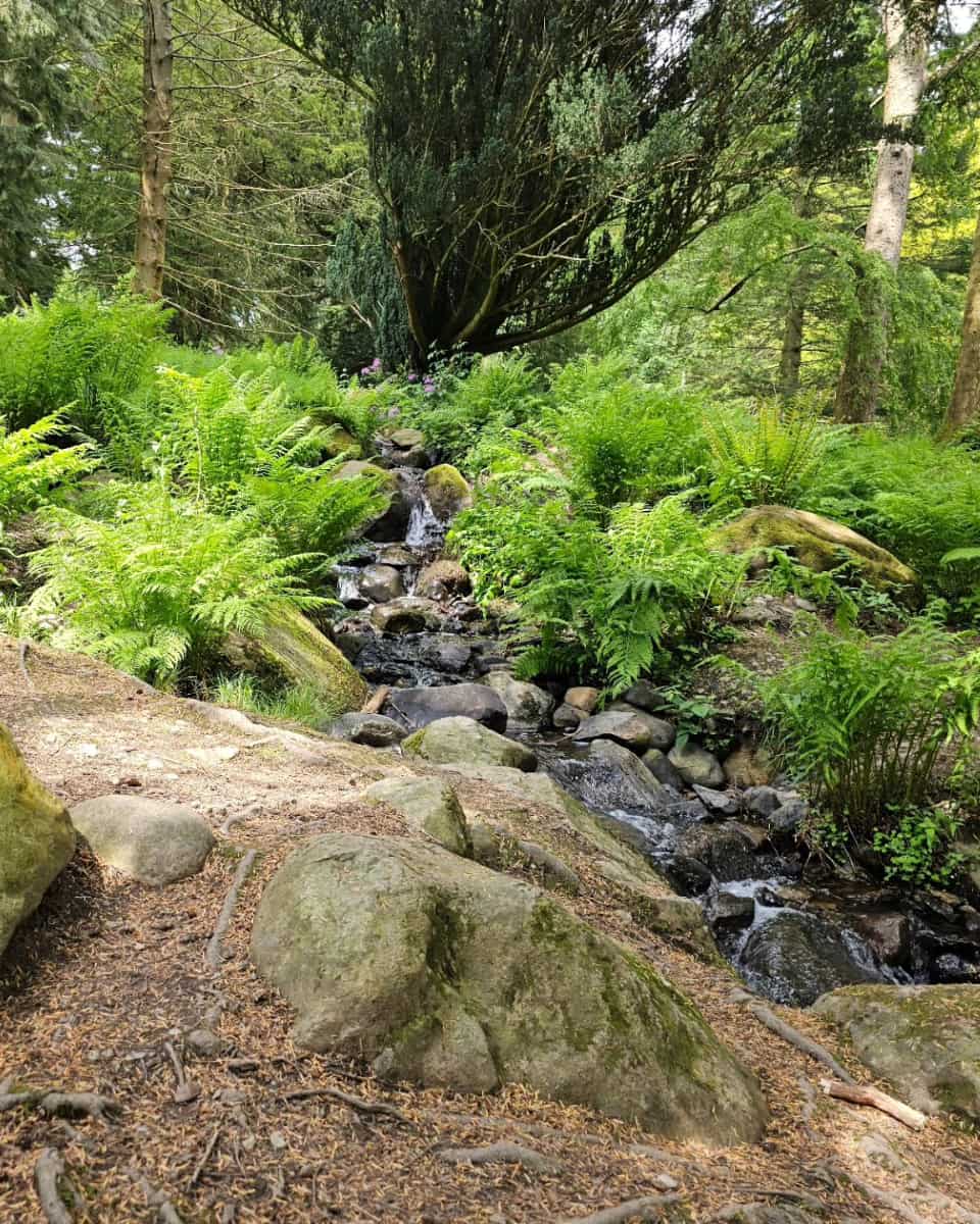 Aira Force, Lake District Aira Force, Lake District