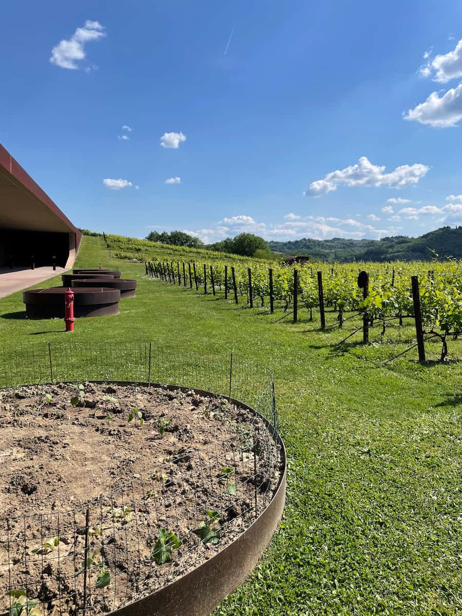 Antinori nel Chianti Classico Antinori nel Chianti Classico