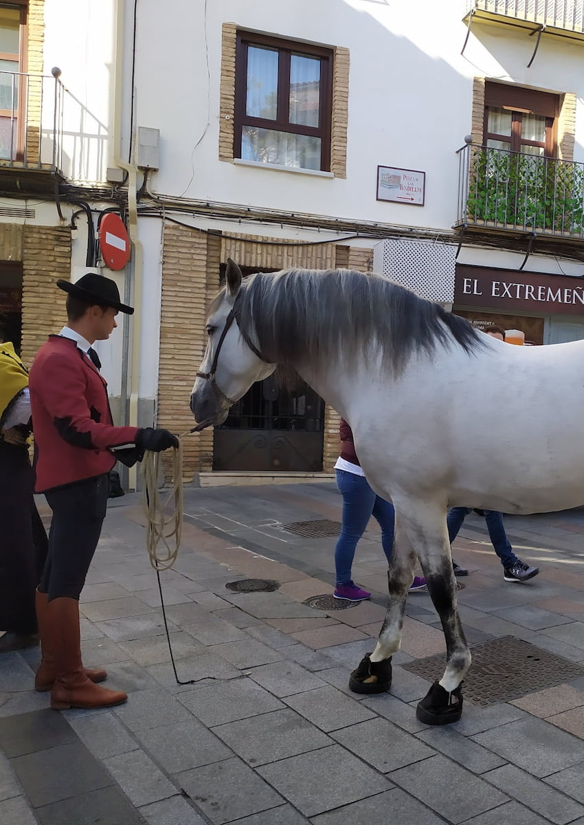 Autumn of the Horse Cordoba Autumn of the Horse Cordoba