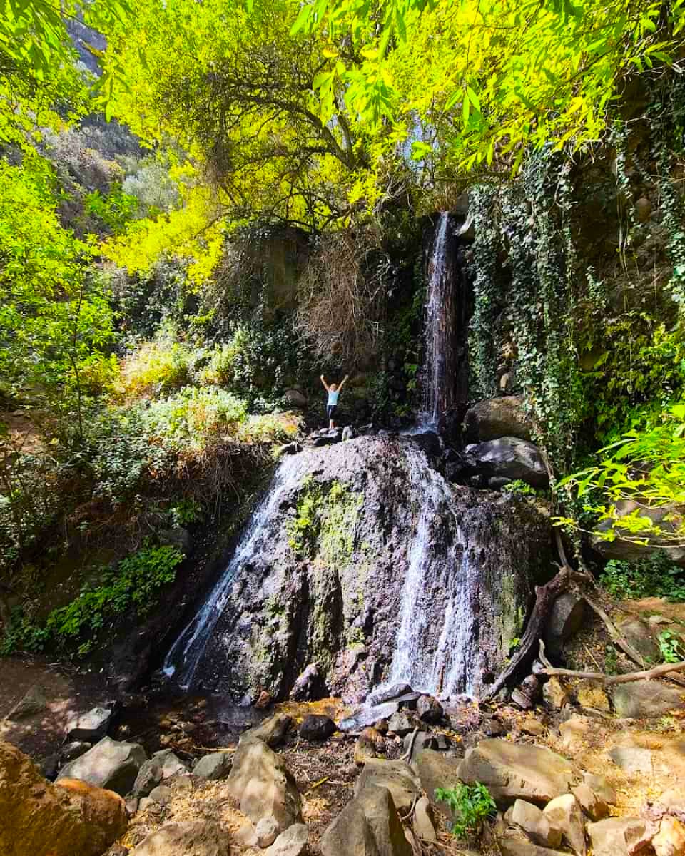 Barranco de los CernĂcalos, Maspalomas Barranco de los CernĂcalos, Maspalomas