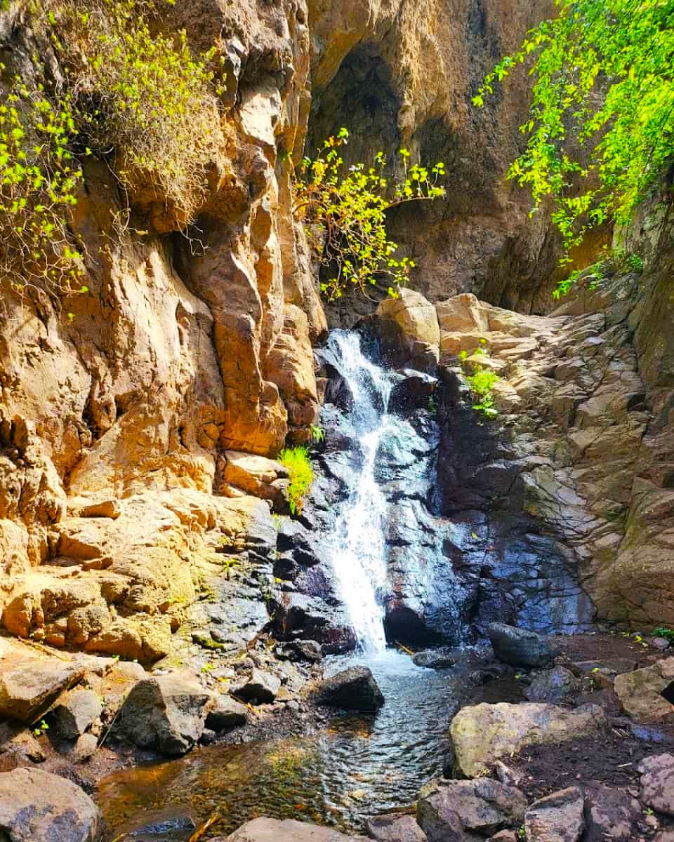 Barranco de los CernĂcalos, Maspalomas Barranco de los CernĂcalos, Maspalomas