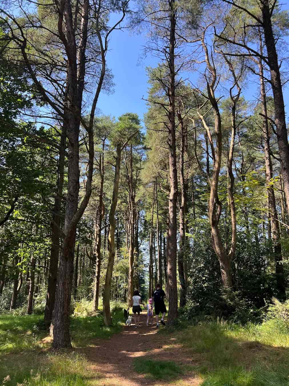 Beacon Fell Country Park Forest, Preston Beacon Fell Country Park Forest, Preston