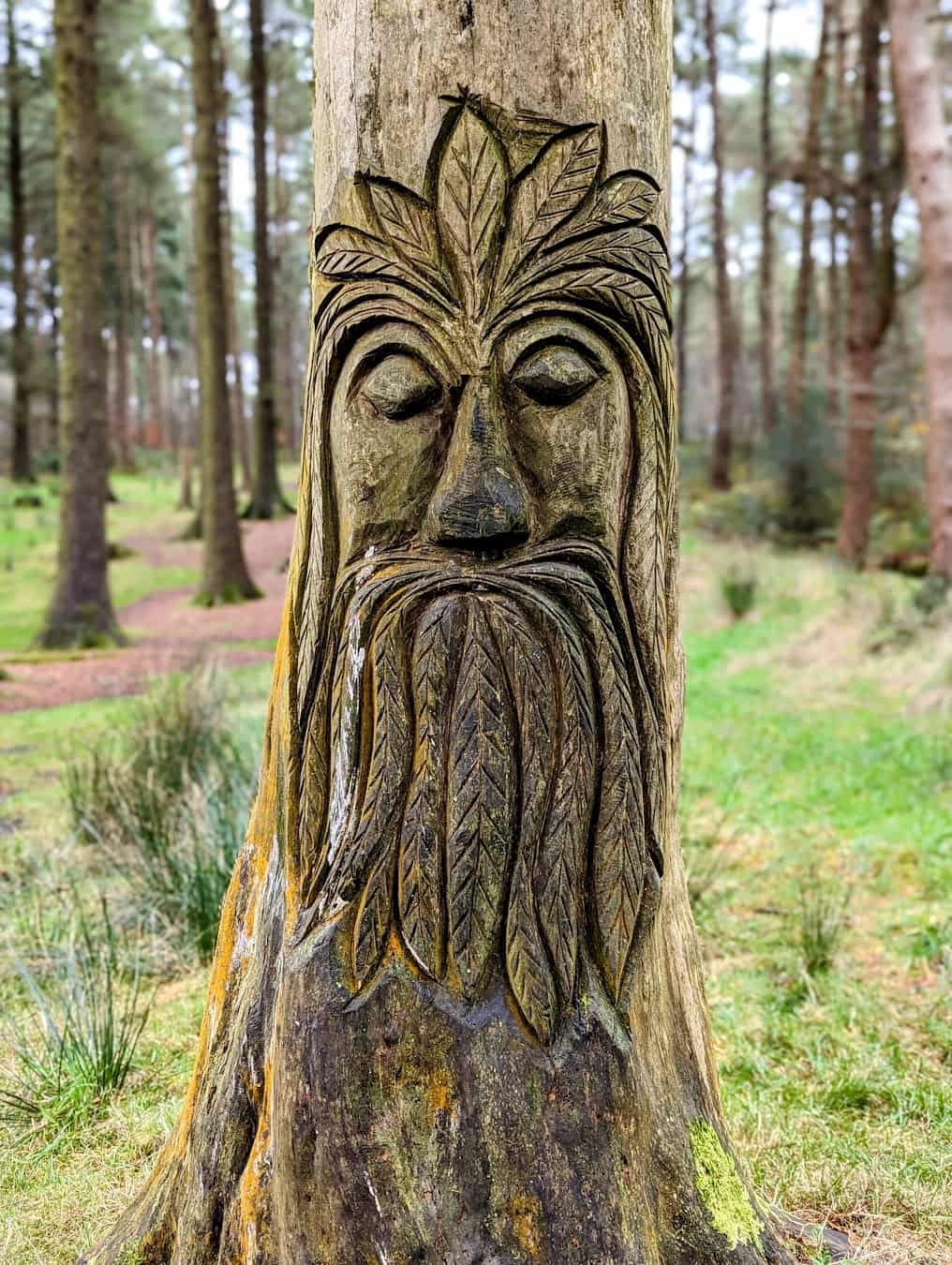Beacon Fell Country Park Handmade Woodwork, Preston Beacon Fell Country Park Handmade Woodwork, Preston