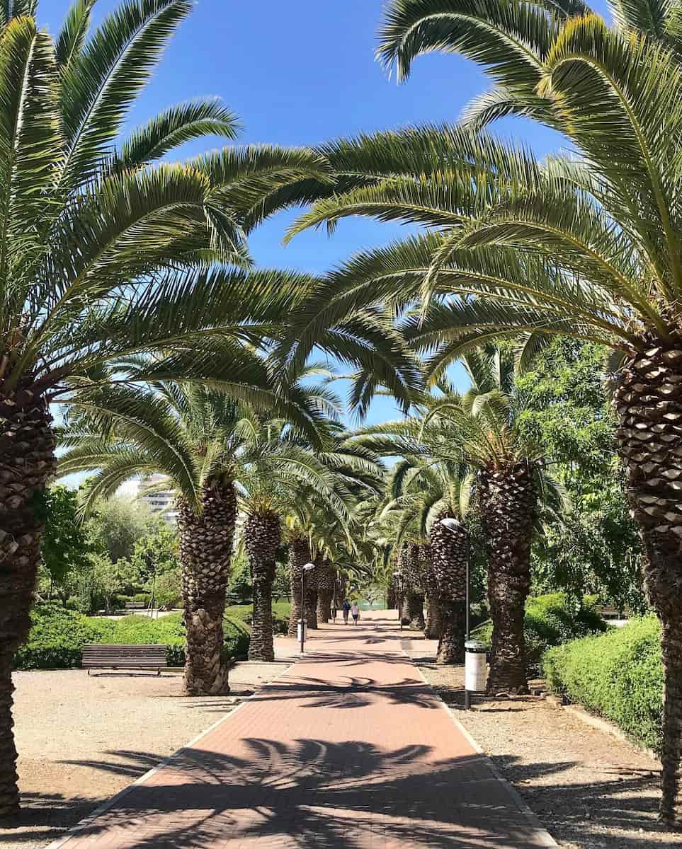 Benalmadena: Paloma Park Benalmadena: Paloma Park