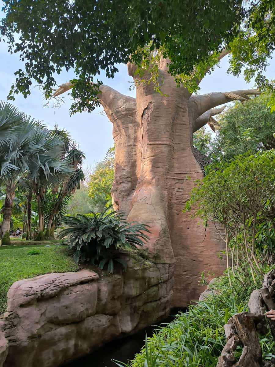 Bioparc Fuengirola Bioparc Fuengirola