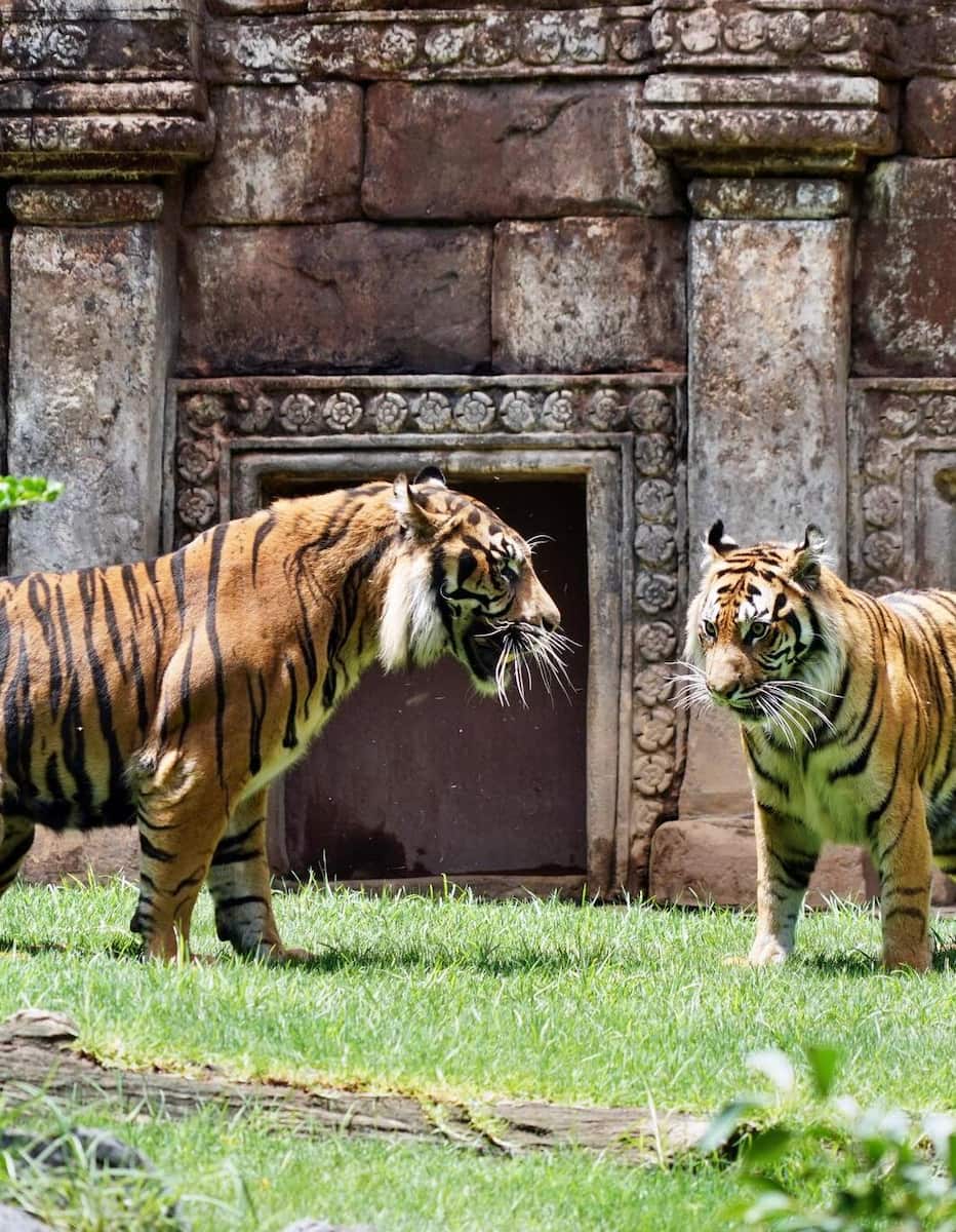 Bioparc Fuengirola Bioparc Fuengirola