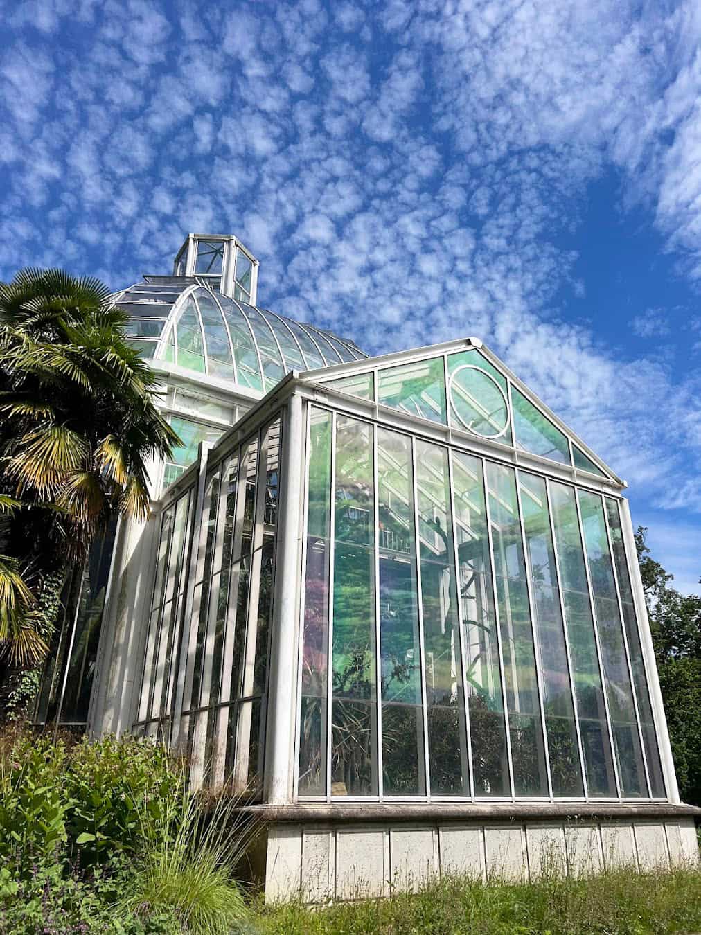 Botanical Garden Greenhouse, Switzerland Botanical Garden Greenhouse, Switzerland