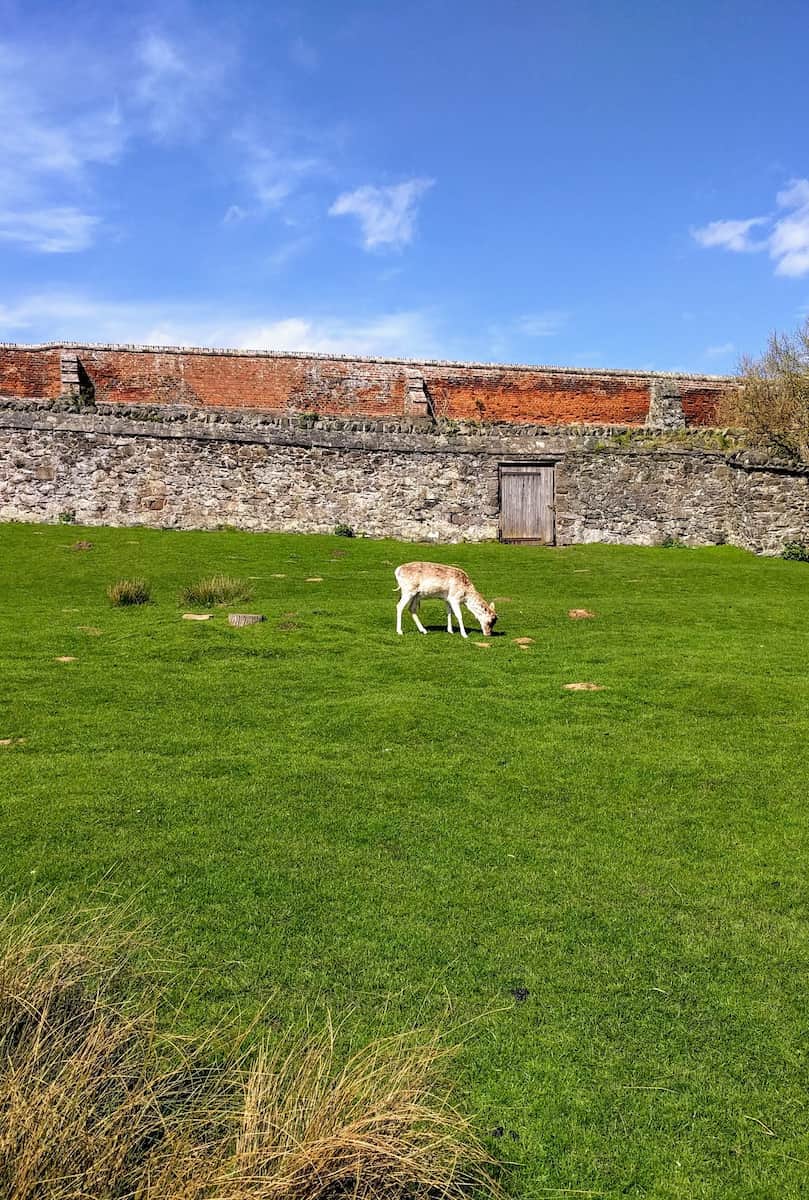 Bradgate Park Bradgate Park