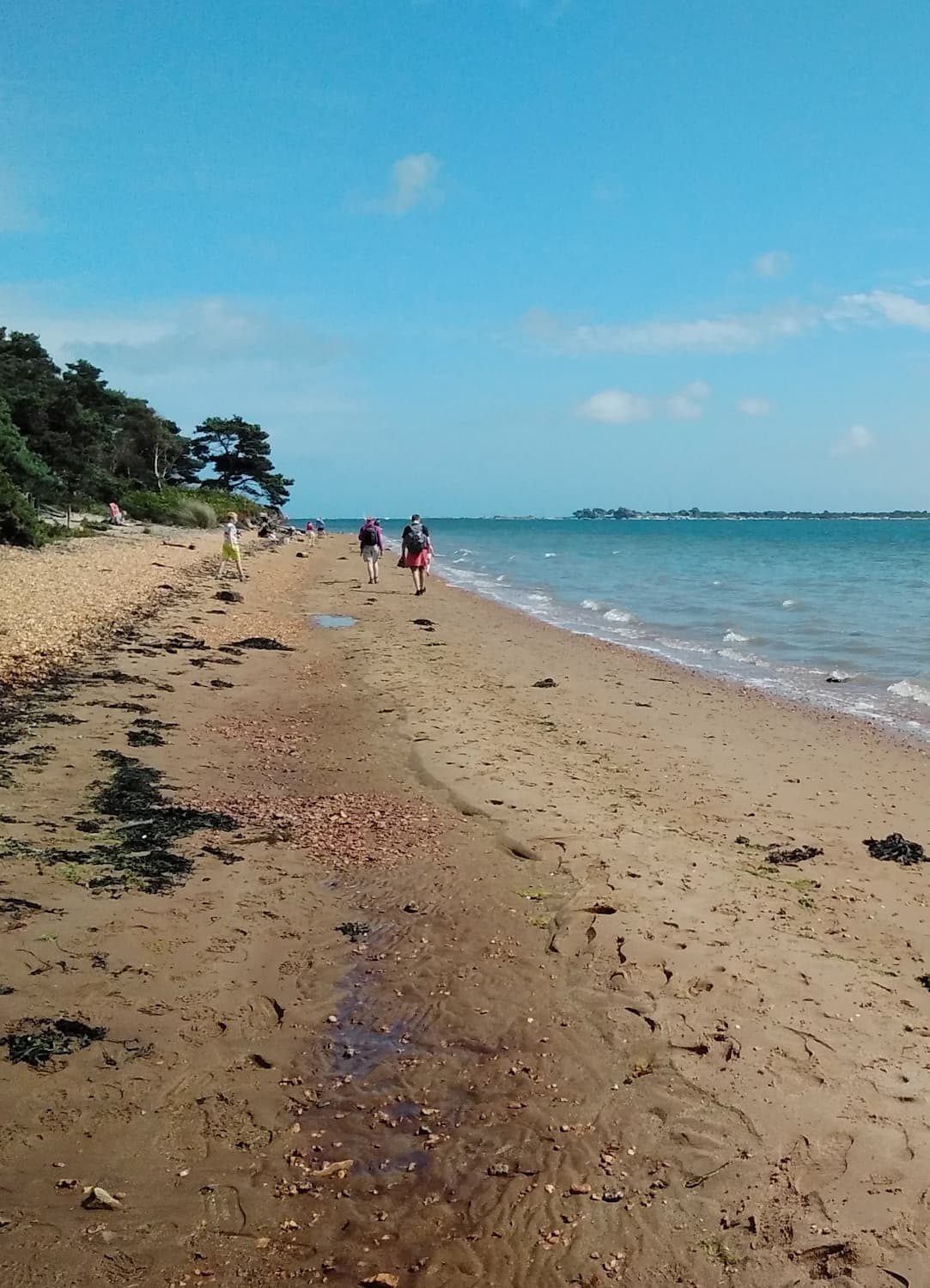 Brownsea Island Brownsea Island