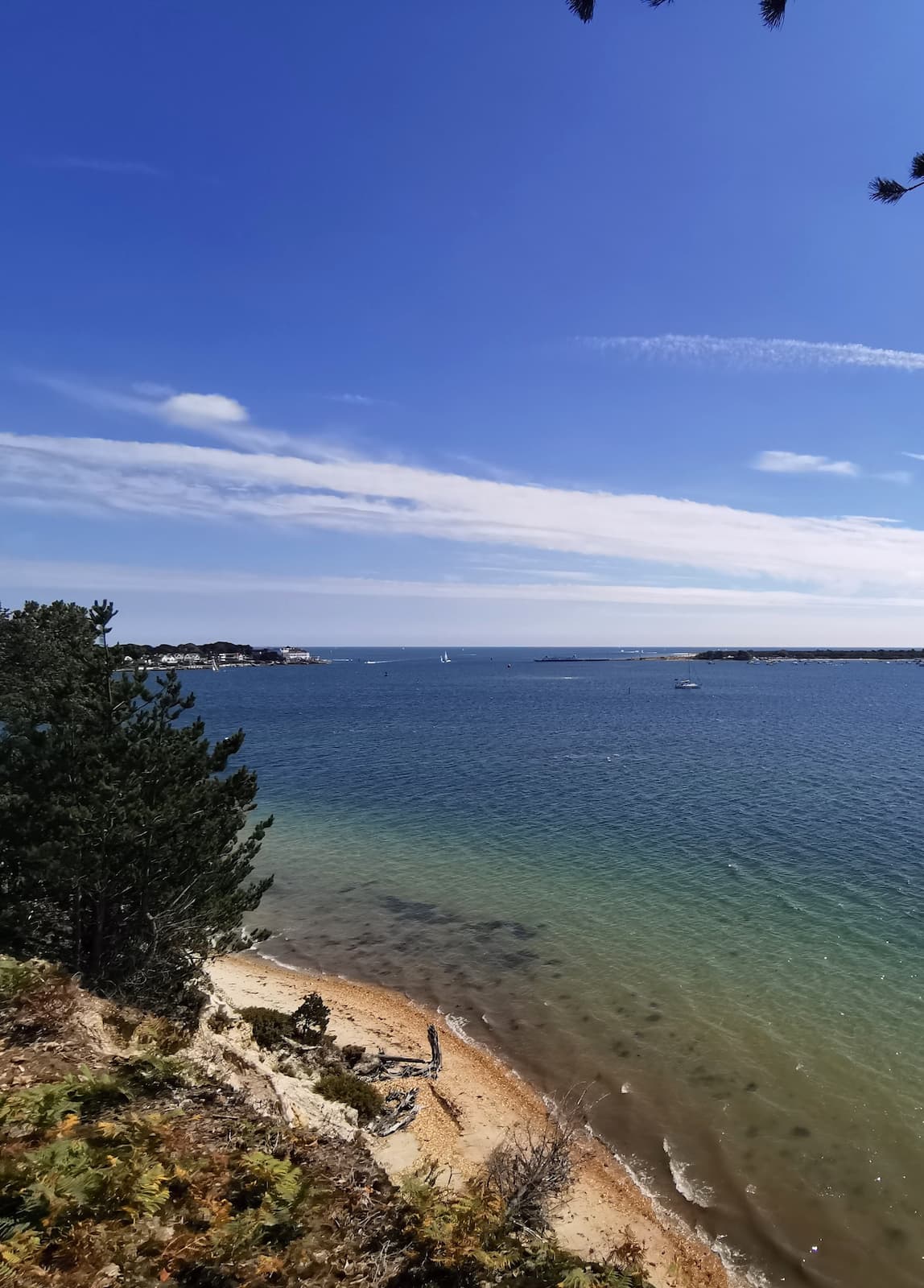 Brownsea Island Brownsea Island