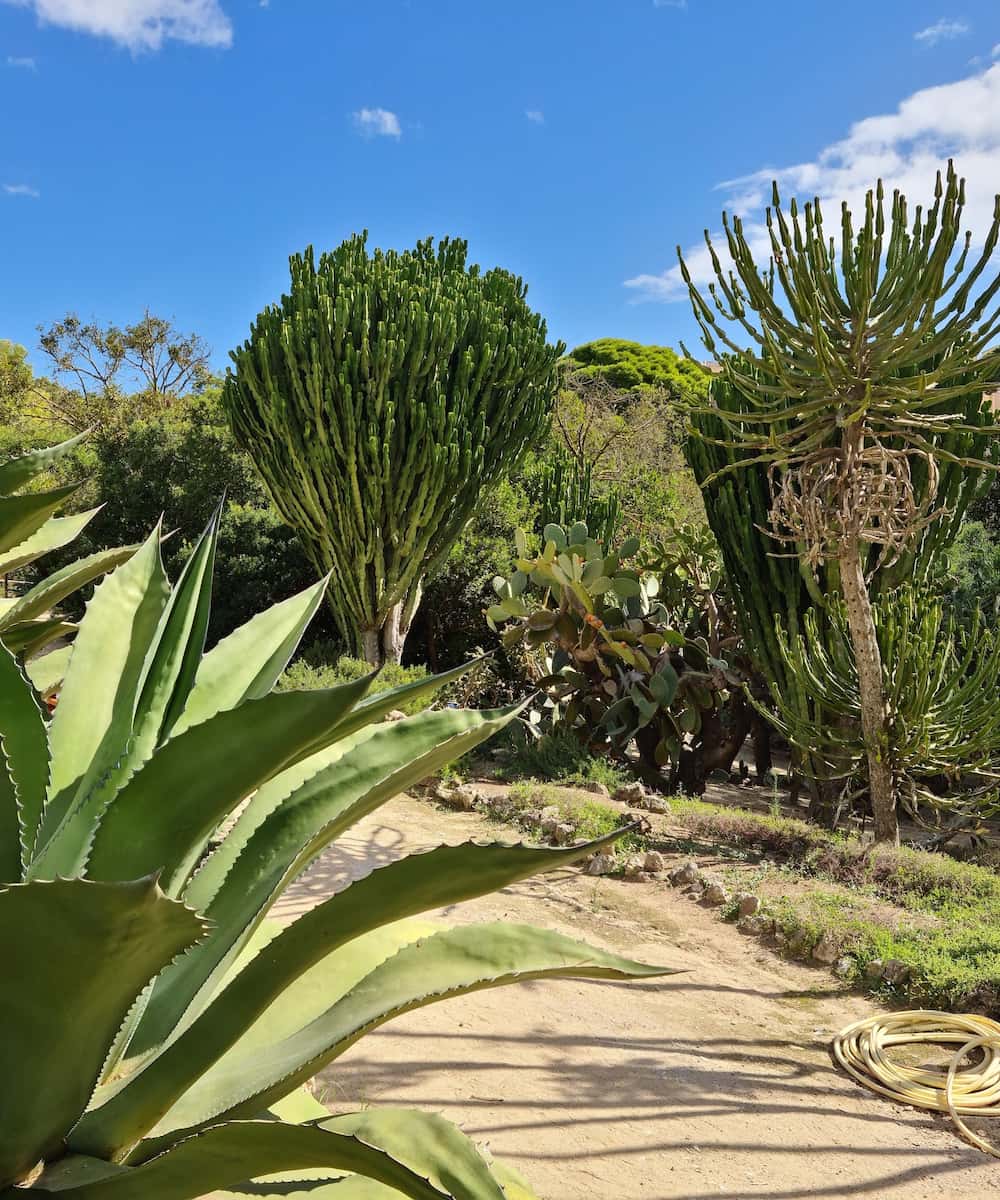 Cagliari, Botanical Gardens Cagliari, Botanical Gardens