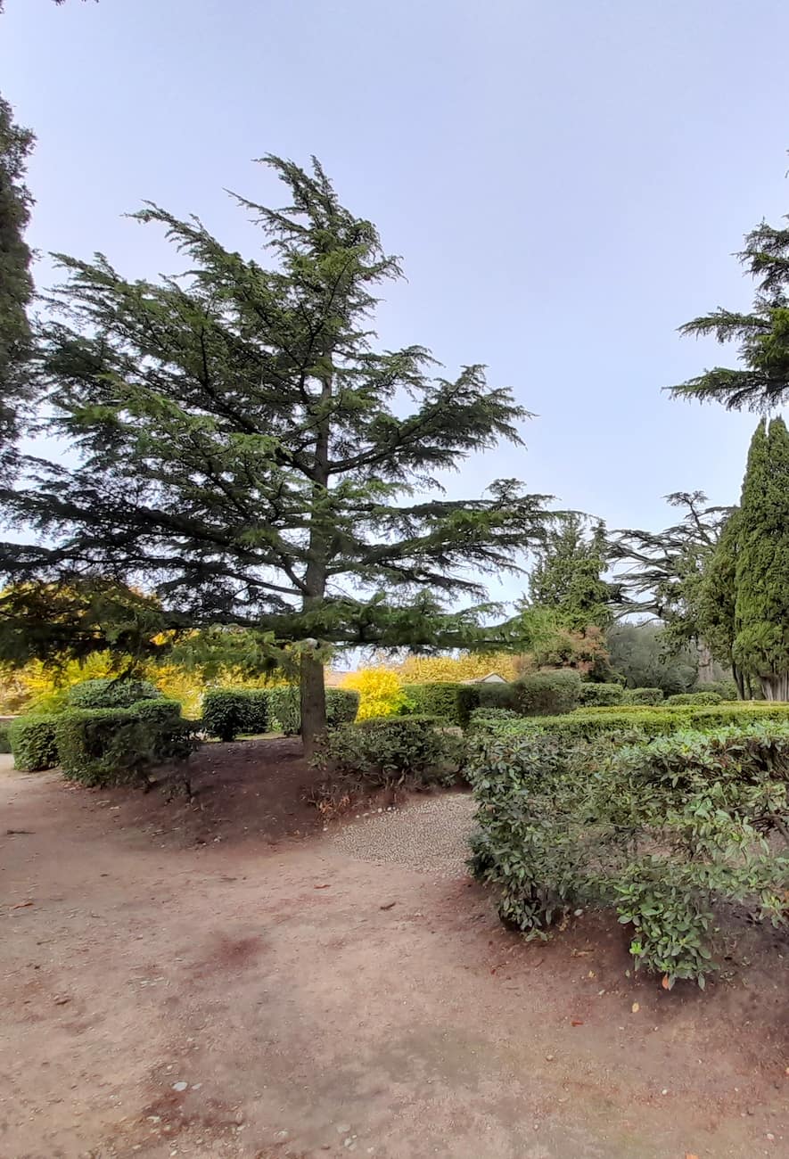 Calvaire Garden Calvaire Garden