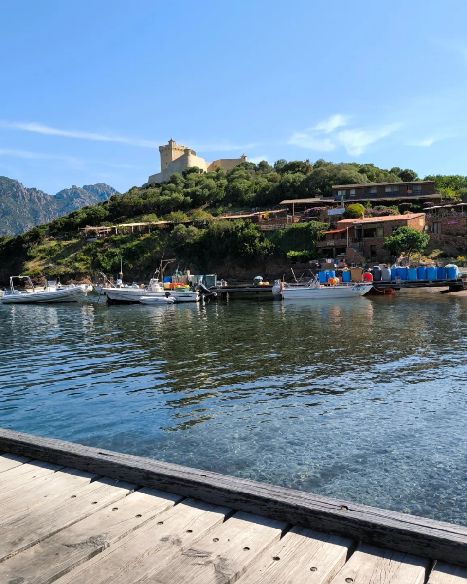 Calvi, Marina Calvi, Marina