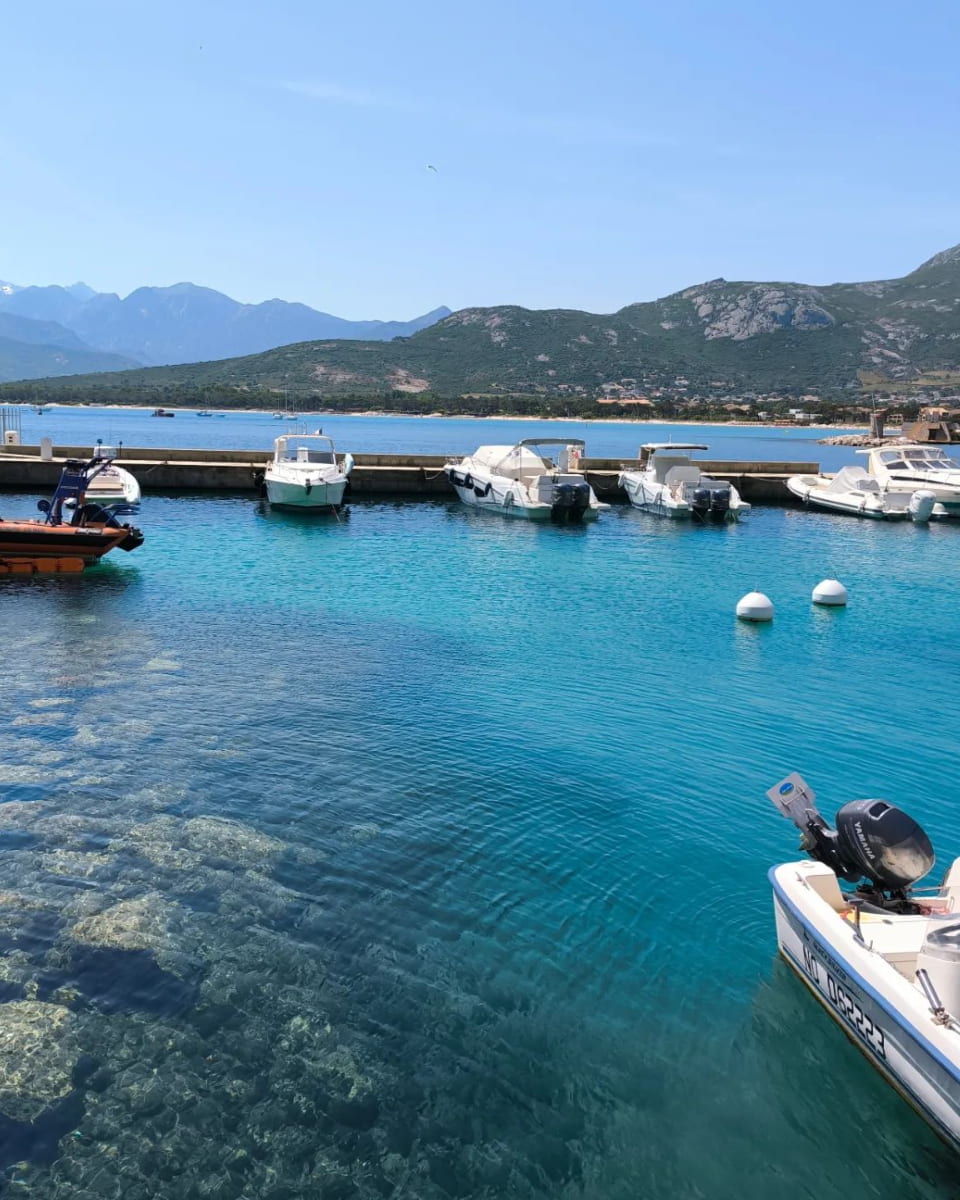 Calvi, Marina Calvi, Marina