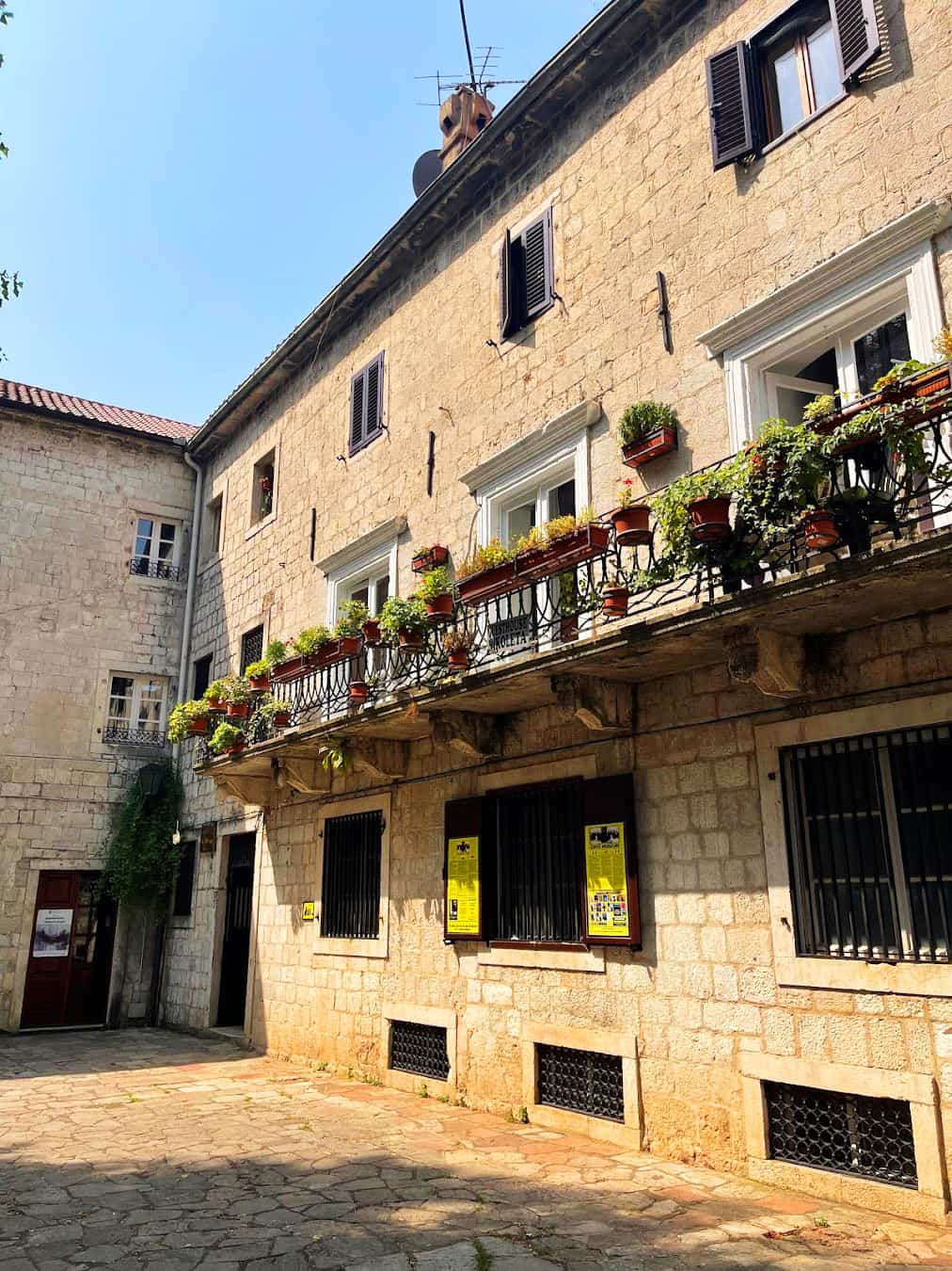 Cat Museum, Montenegro Cat Museum, Montenegro