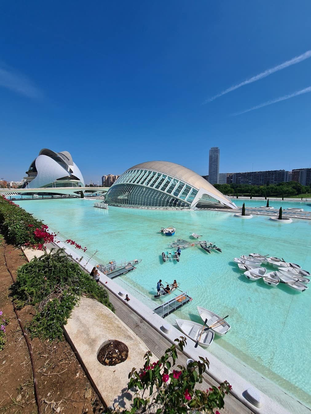 City of Arts and Sciences Spain City of Arts and Sciences