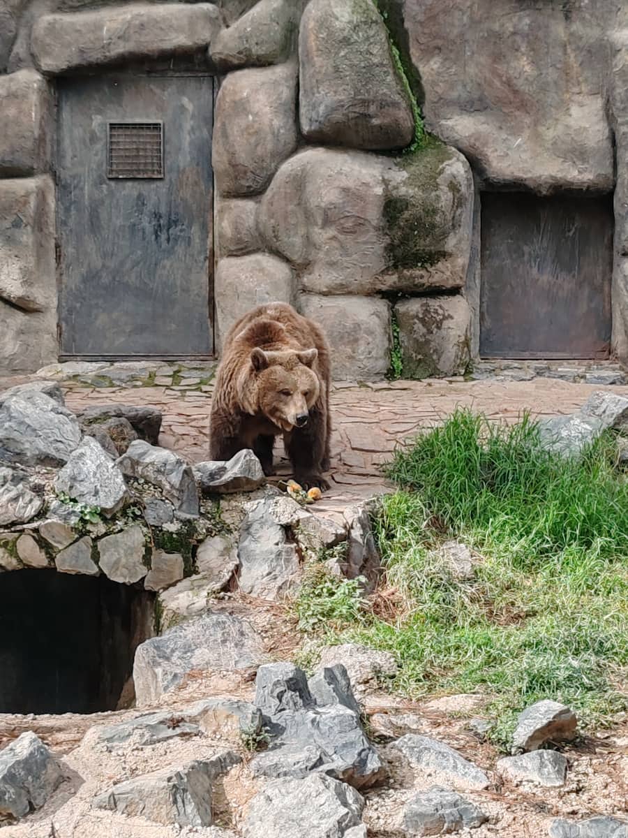 Córdoba Zoo Córdoba Zoo