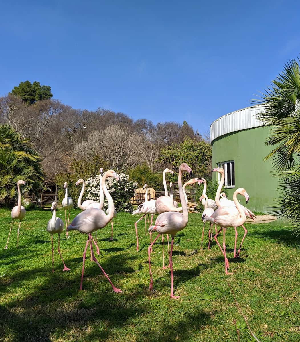Córdoba Zoo Córdoba Zoo