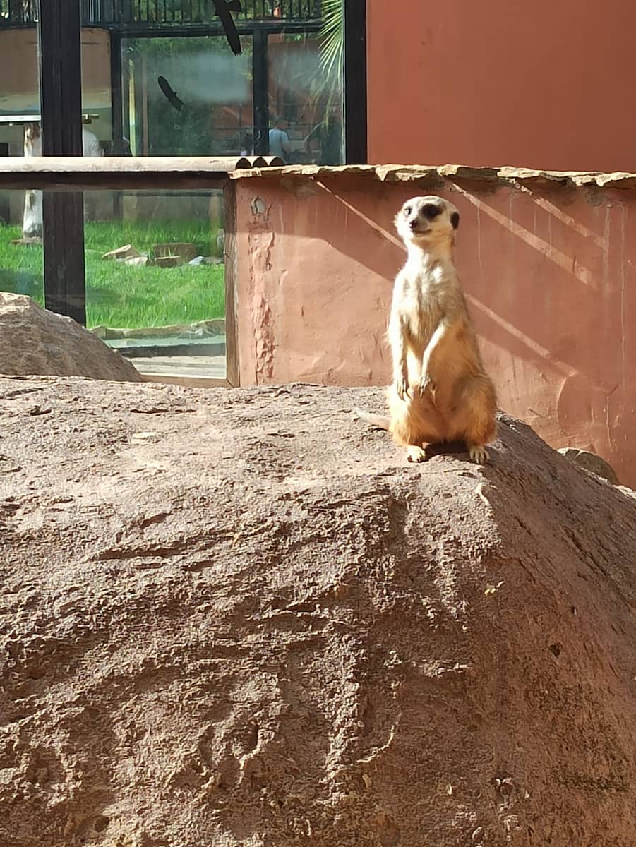 Córdoba Zoo Córdoba Zoo