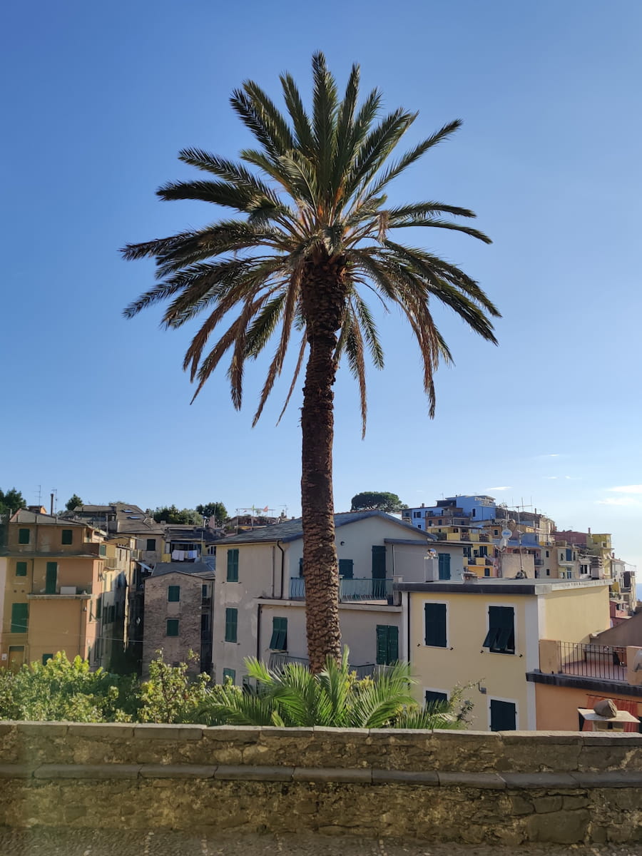 Corniglia Corniglia