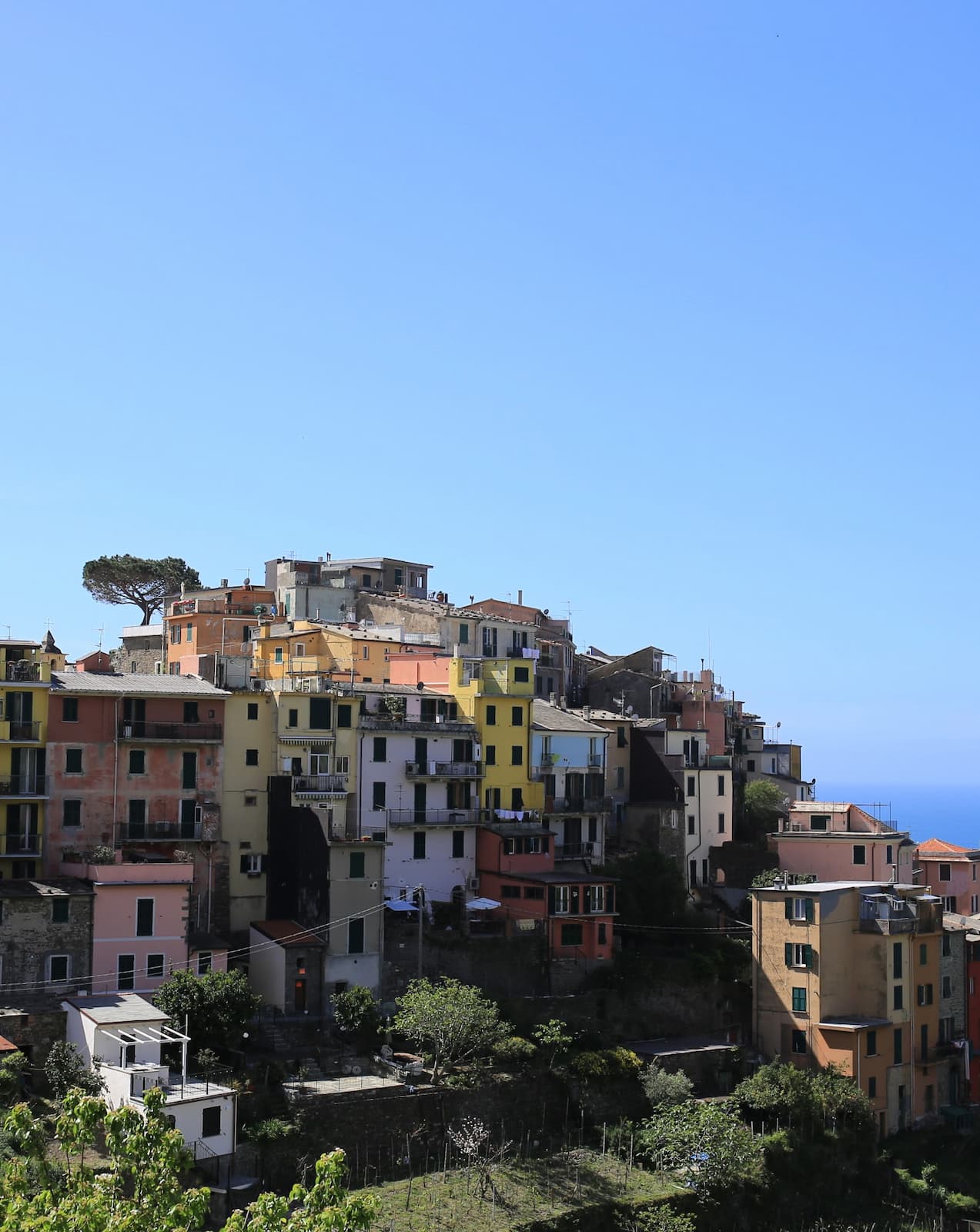 Corniglia Corniglia
