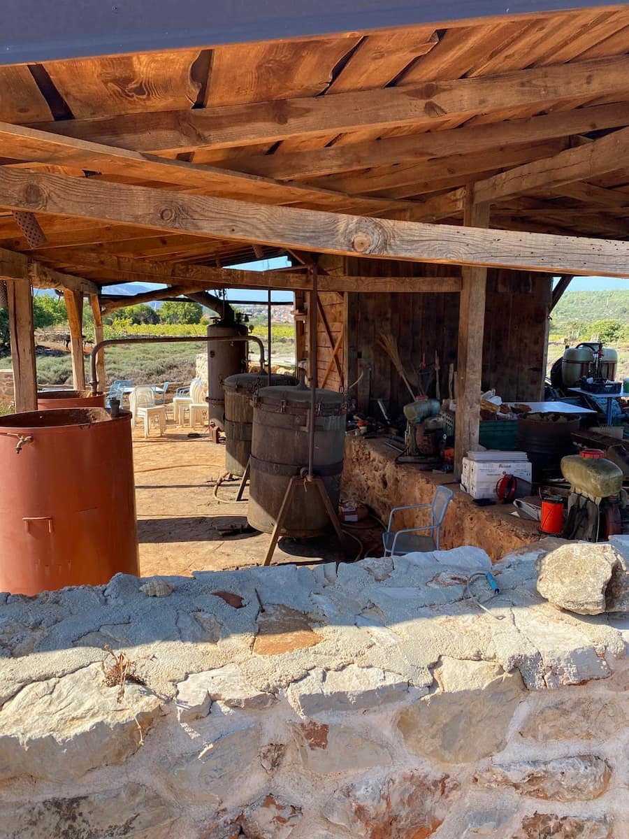Croatia, Agroturizam Pharos Farm Croatia, Agroturizam Pharos Farm