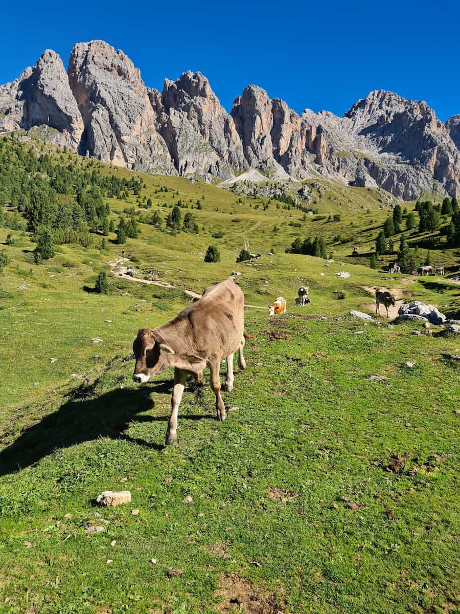 Dolomites Mountains Italy Dolomites Mountains Italy