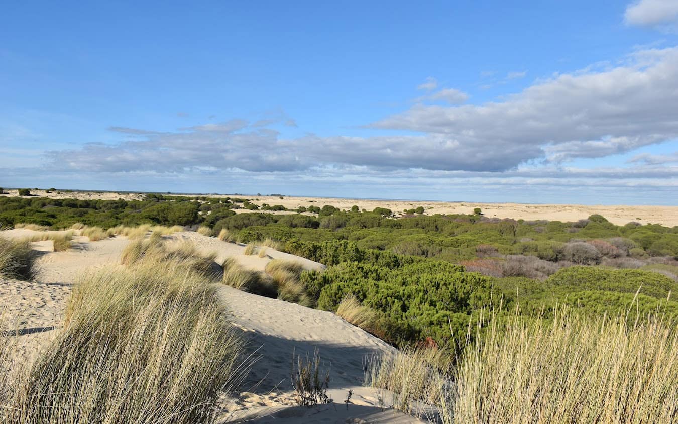 Doñana National Park, Spain Doñana National Park, Spain