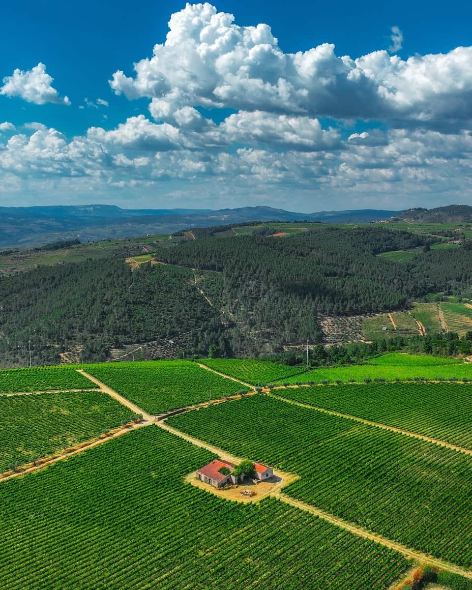 Douro Valley, Portugal Douro Valley, Portugal