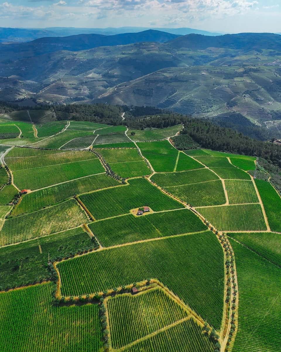 Douro Valley, Portugal Douro Valley, Portugal