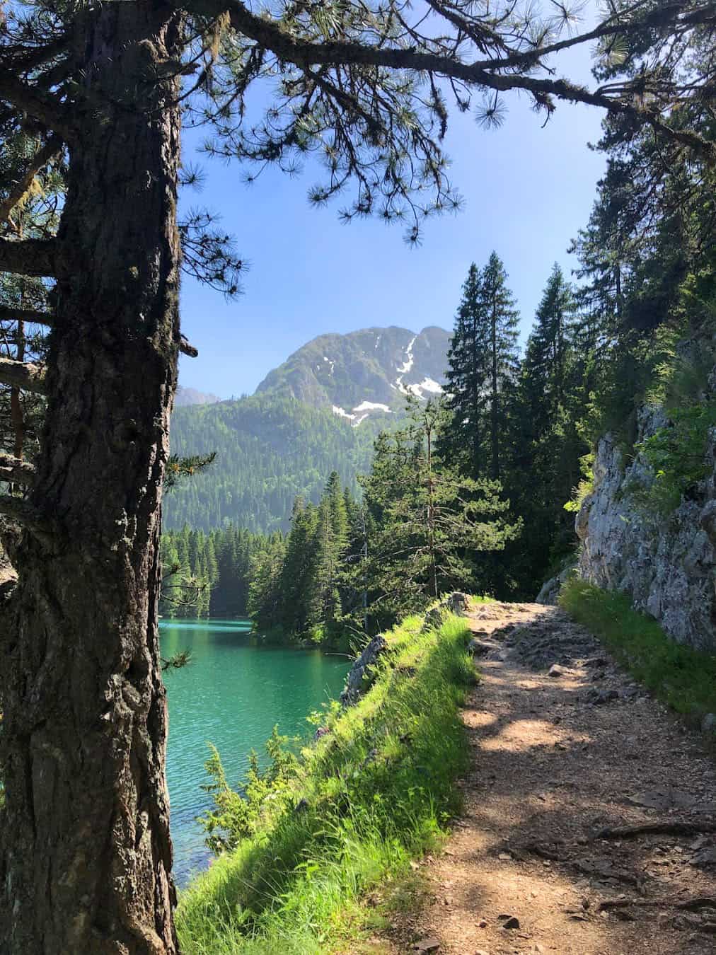 Durmitor National Park Path, Montenegro Durmitor National Park Path, Montenegro