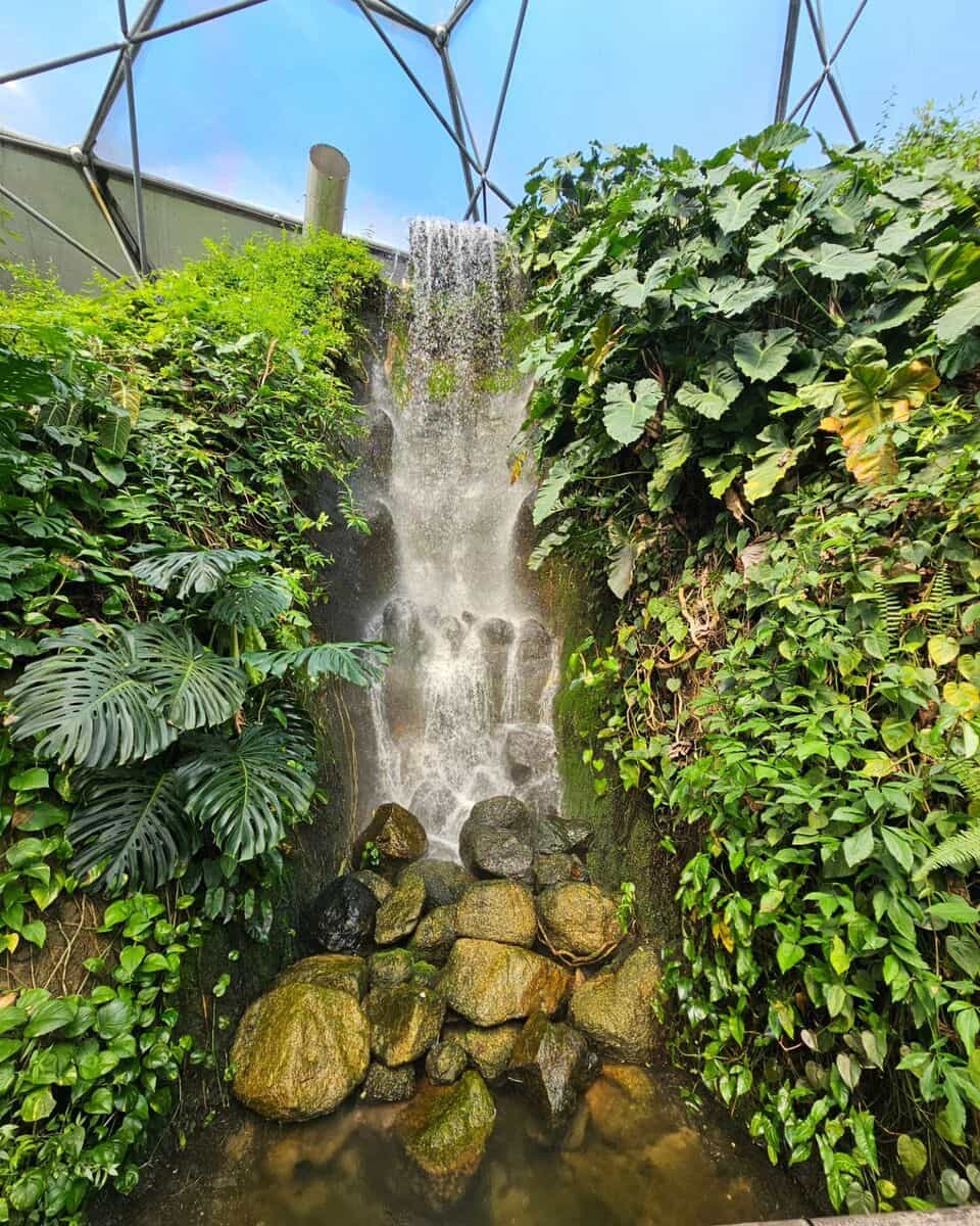 Eden Project Eden Project