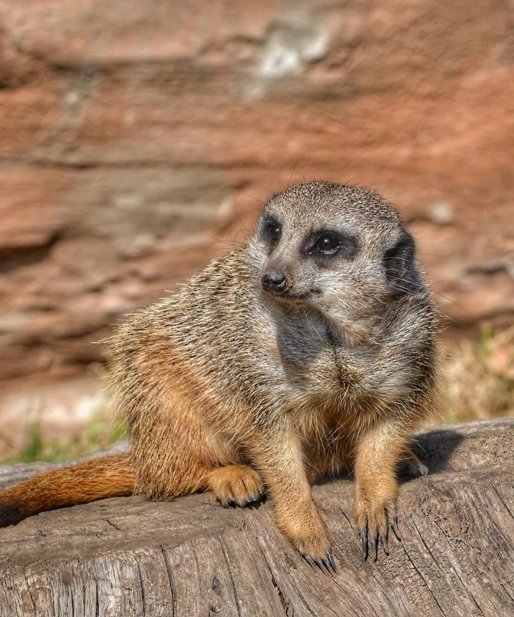 Eindhoven Zoo