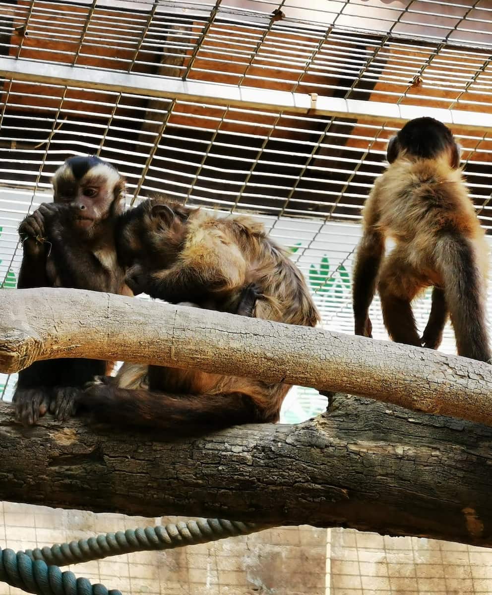 Eindhoven Zoo