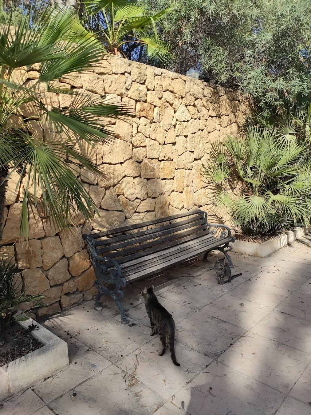 El Palmeral Park Bench, Spain El Palmeral Park Bench, Spain