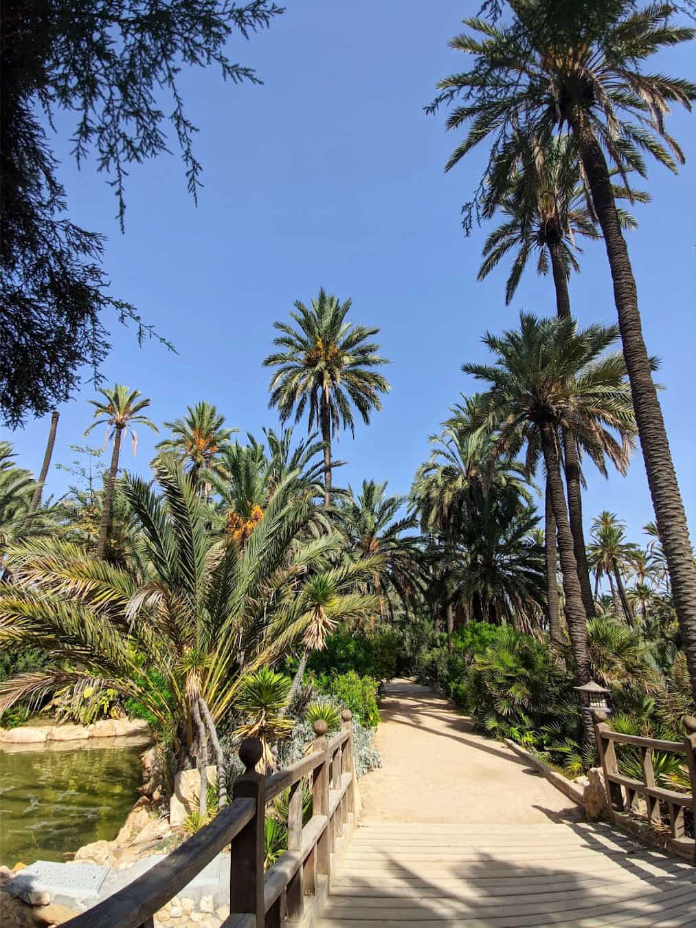 El Palmeral Park, Spain El Palmeral Park, Spain