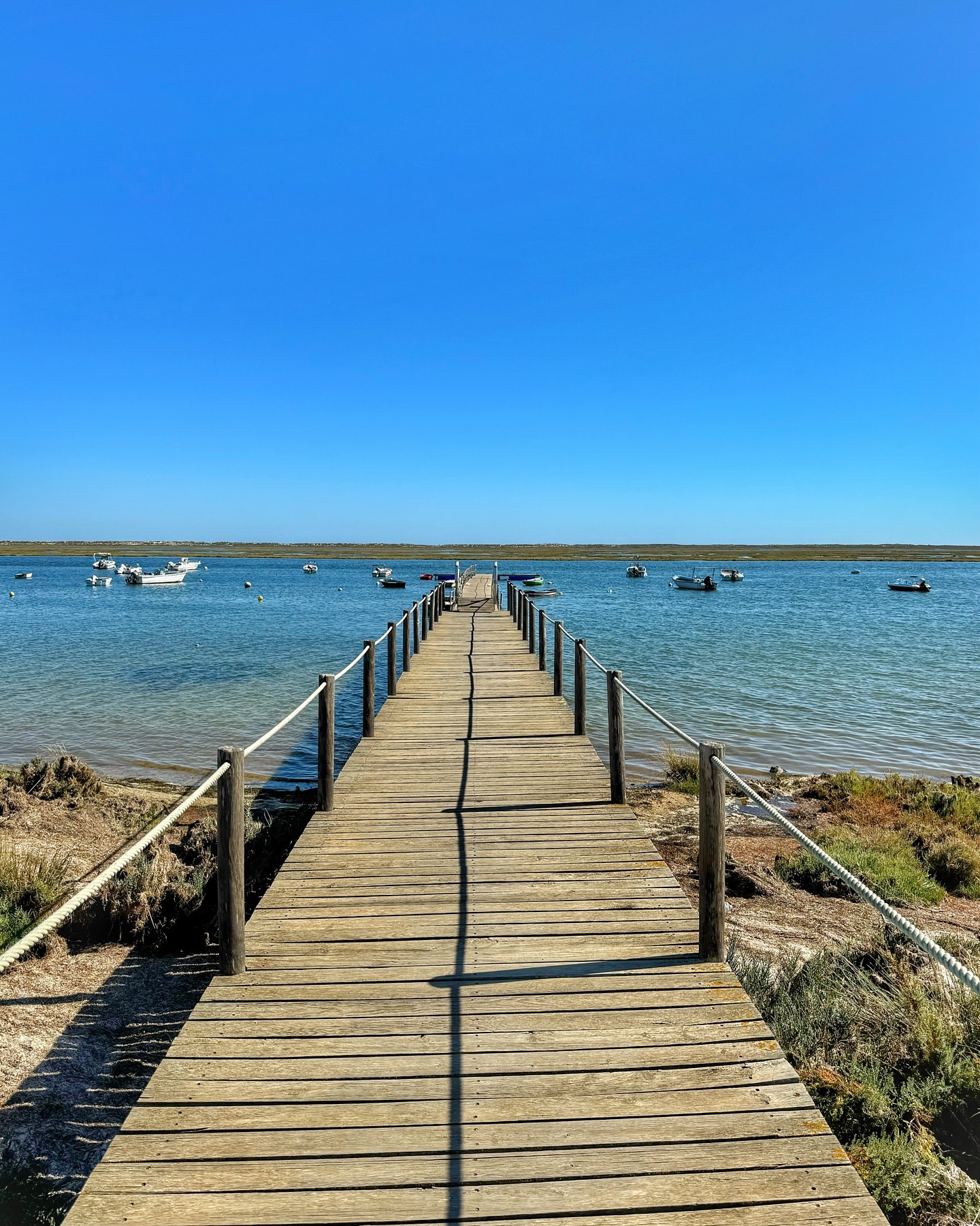 Faro: Ria Formosa Faro: Ria Formosa