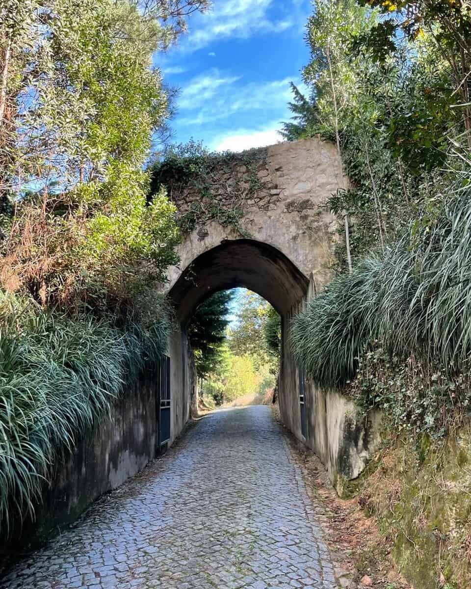 Gardens at Pena Palace, Sintra Gardens at Pena Palace, Sintra