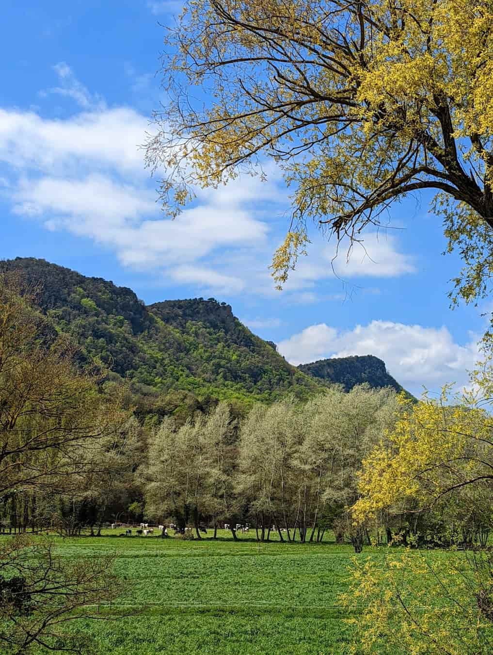 Garrotxa Volcanic Zone, Spain Garrotxa Volcanic Zone, Spain