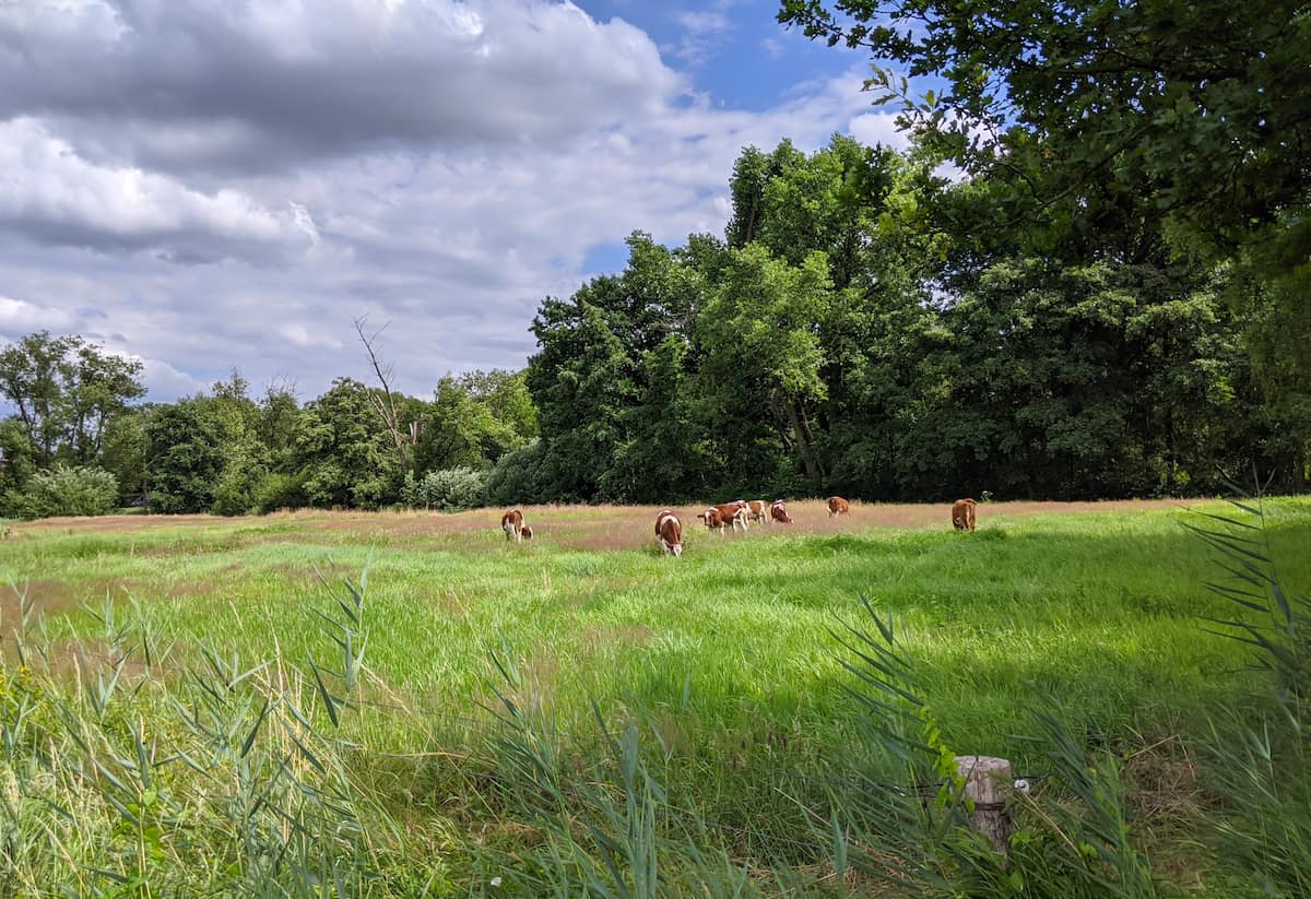Genneper Parks Eindhoven Genneper Parks Eindhoven