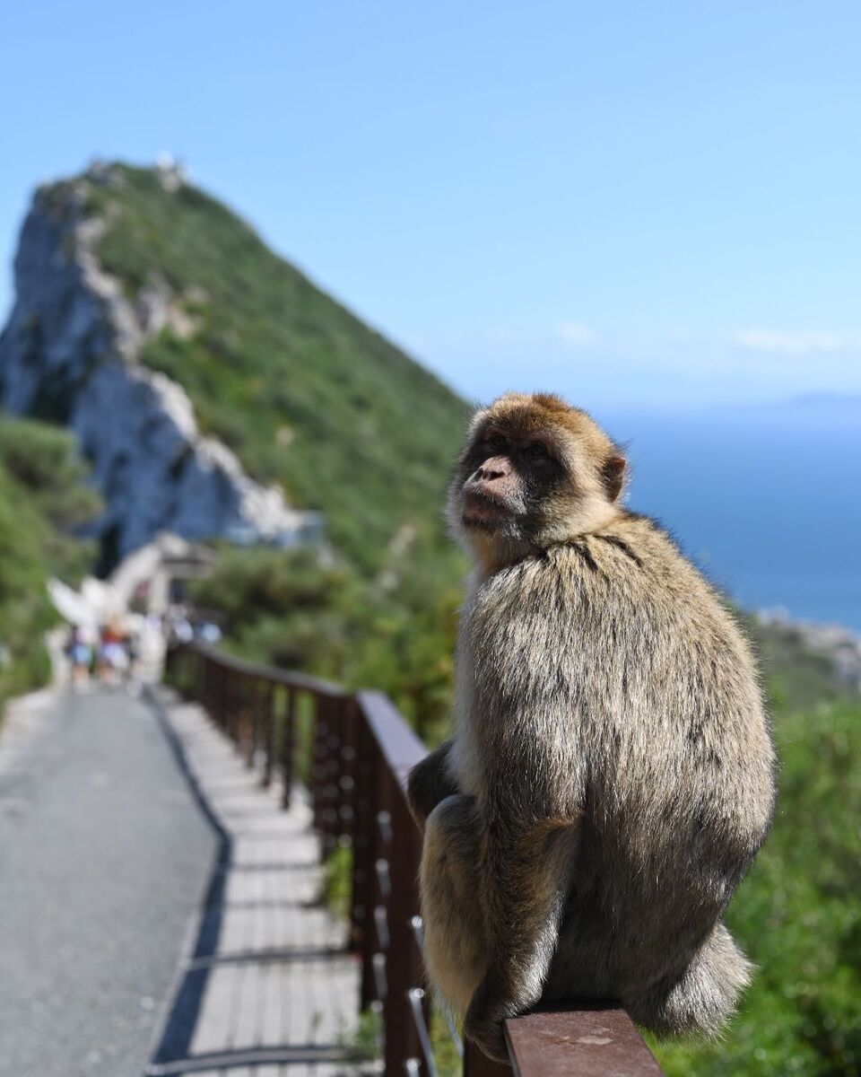 Gibraltar Gibraltar