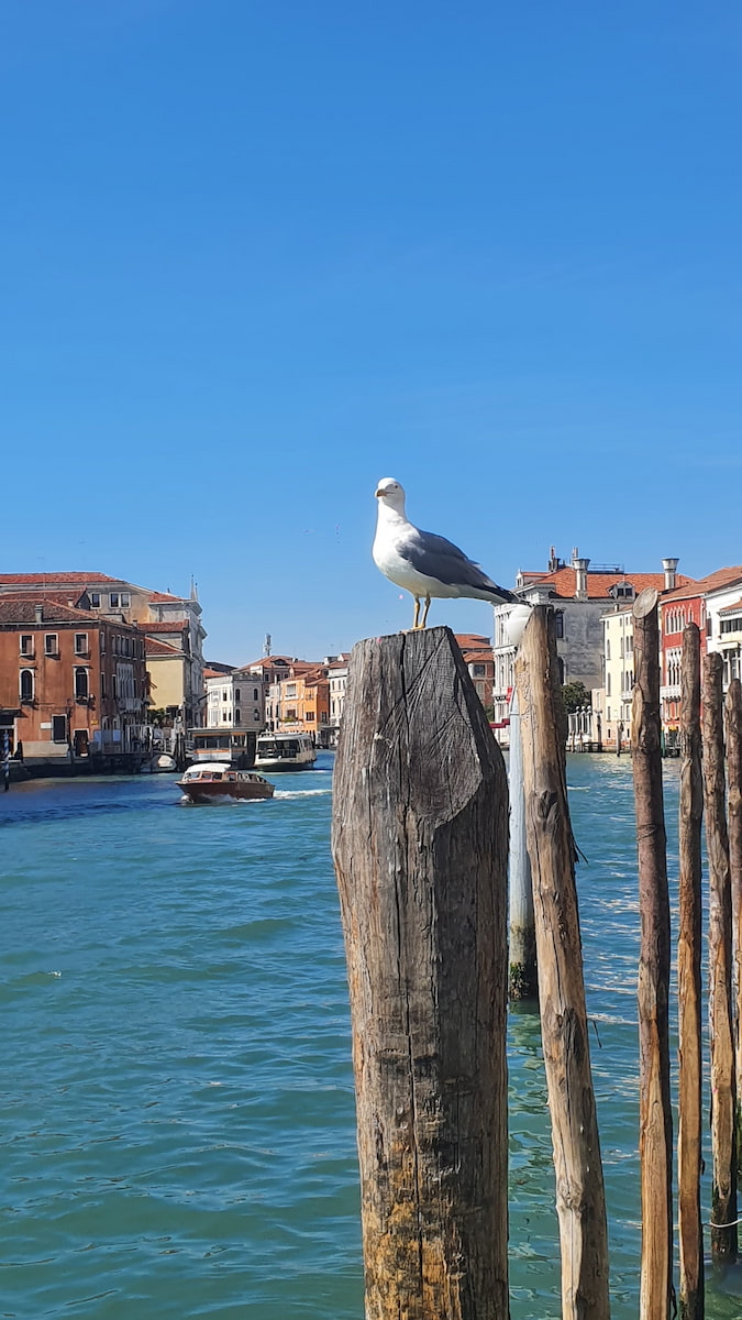 Grand Canal Italy Grand Canal Italy