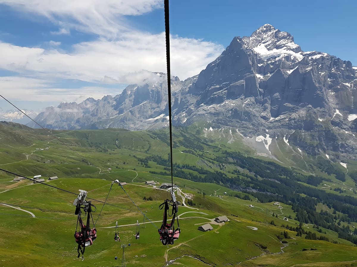 Grindelwald, First Flyer Grindelwald, First Flyer