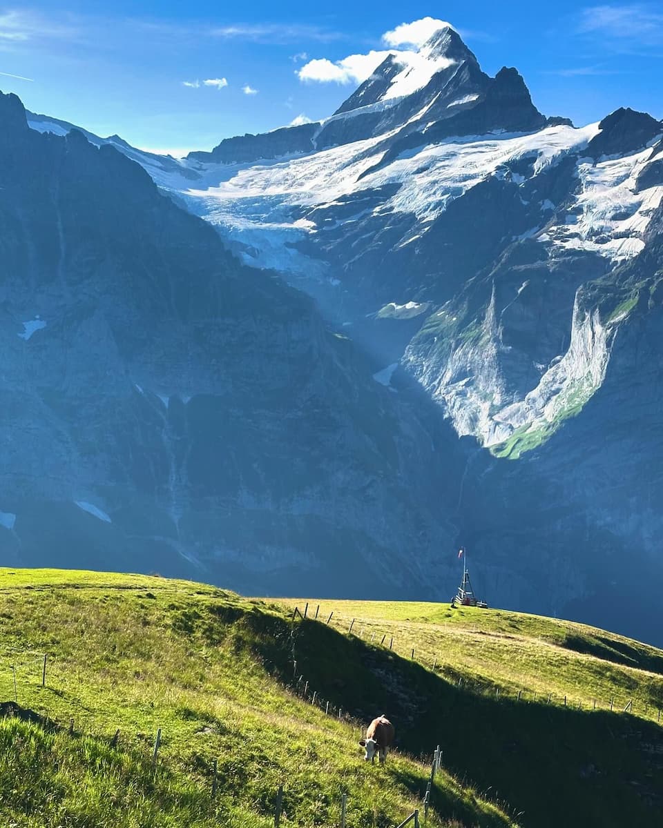 Grindelwald, First Cliff Walk Grindelwald, First Cliff Walk