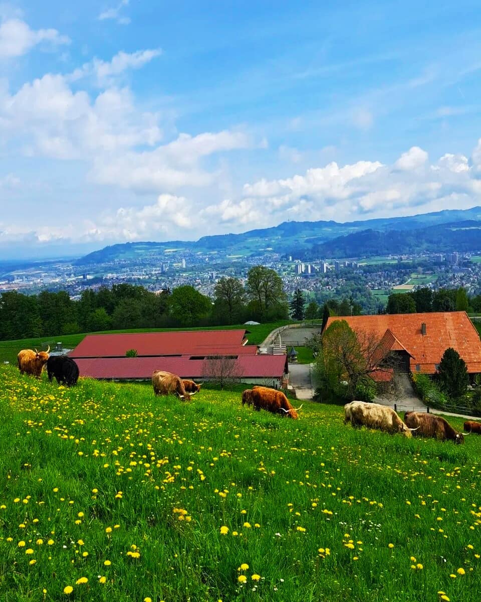 Gurten mountain, Bern Gurten mountain, Bern